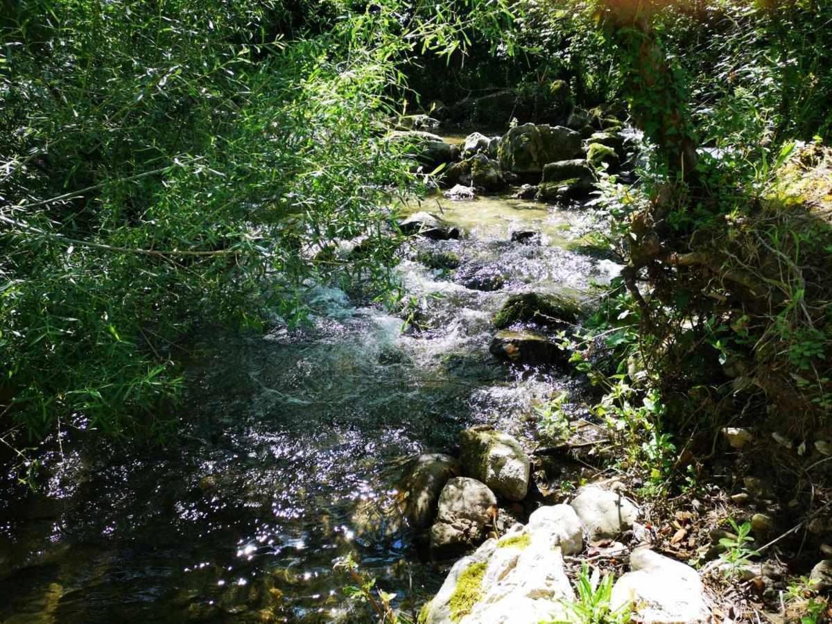 Molino Dei Ciliegi Splendida Villa In Umbria San Venanzo Екстериор снимка